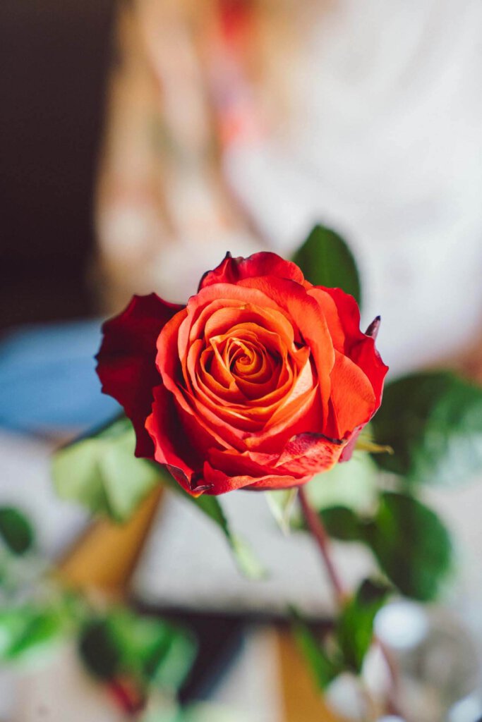 Breuß-Film Barmstedt Kameramann Ton Fotograf Videoschnitt Sven-David Breuß